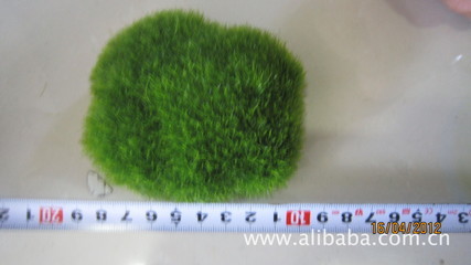 石头-植绒石头-礼品、工艺品、饰品-求购产品详情