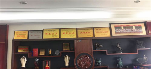 植绒系列产品的专业制造 福建强盛植绒皮革